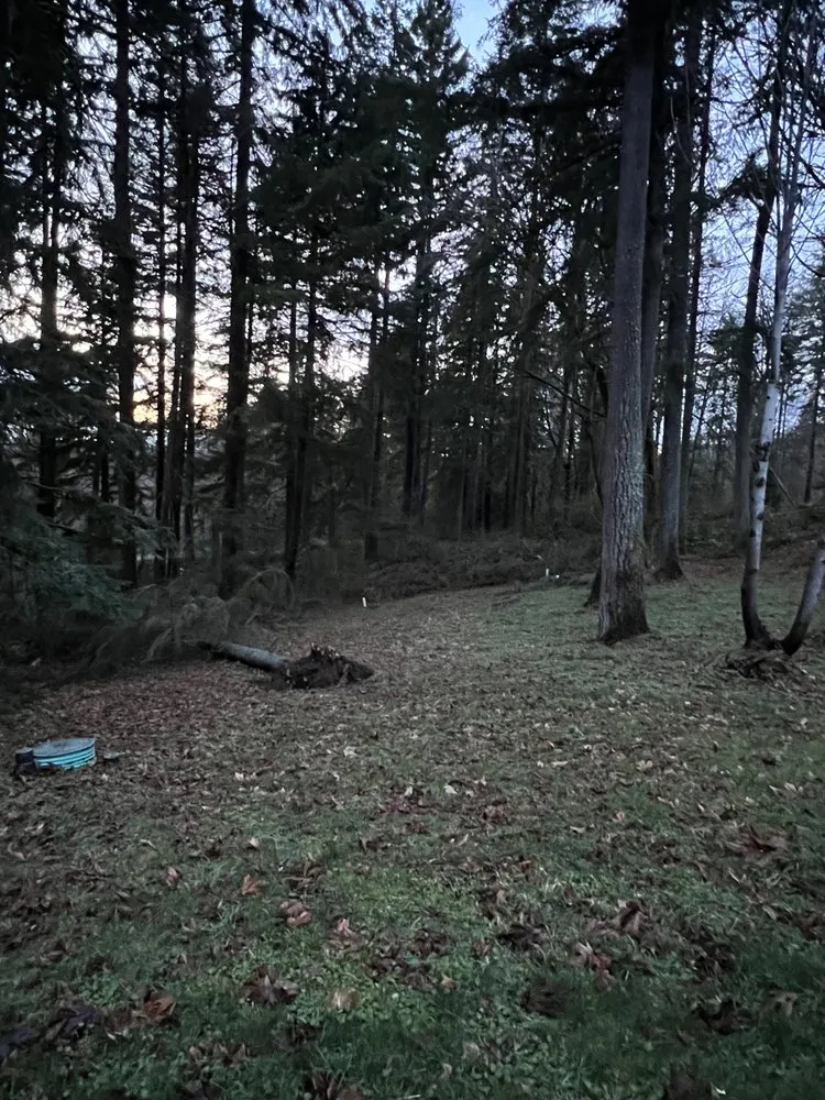 Slide of Septic Response