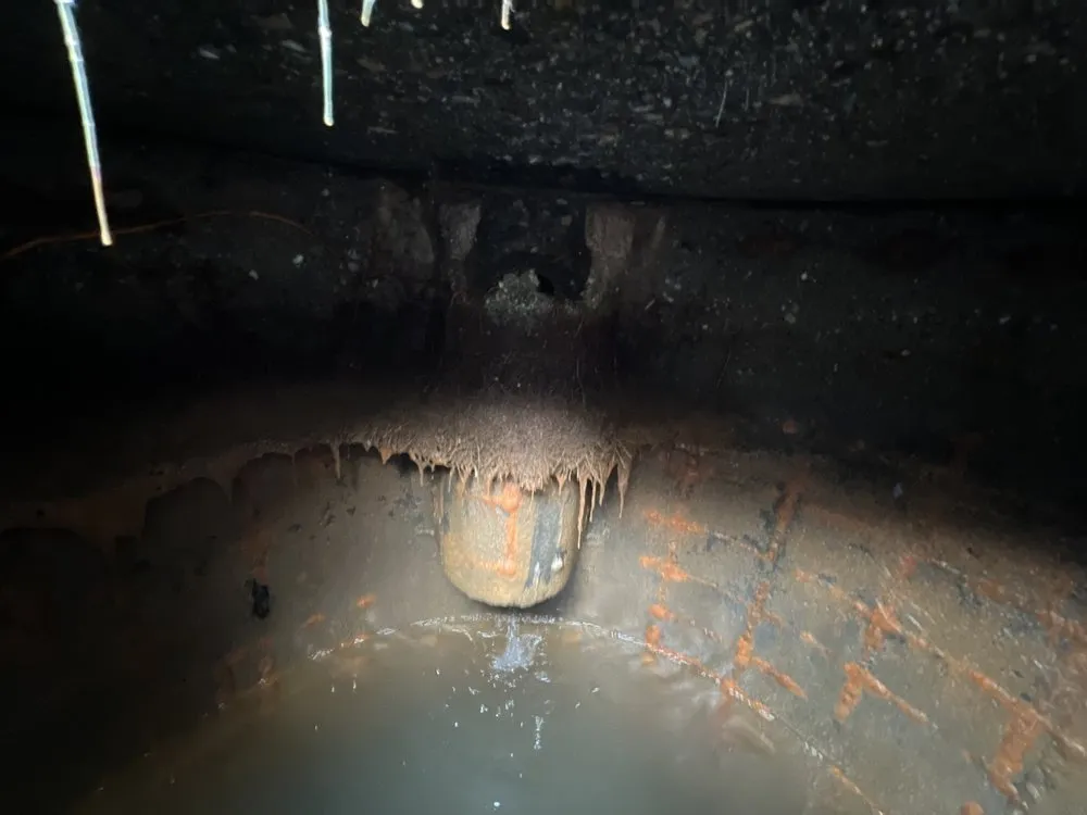 Slide of Septic Response