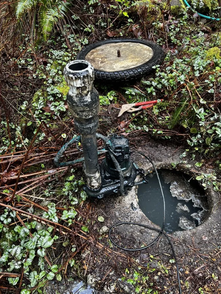 Slide of Septic Response