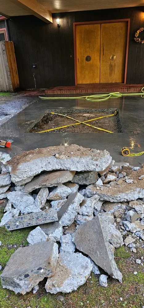 Slide of Septic Response