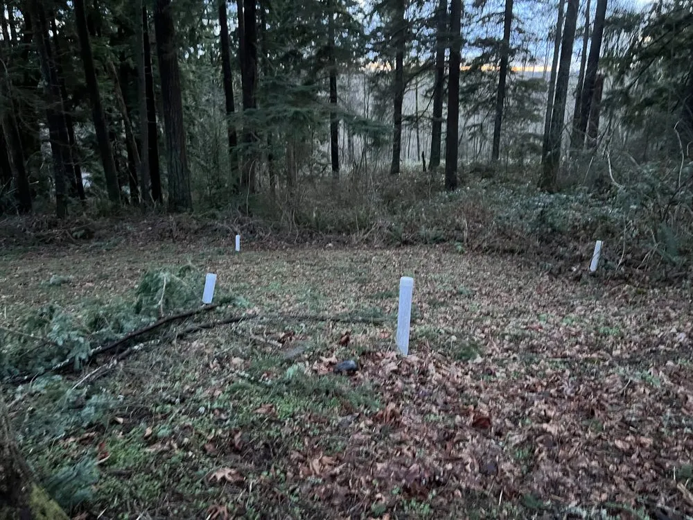 Slide of Septic Response