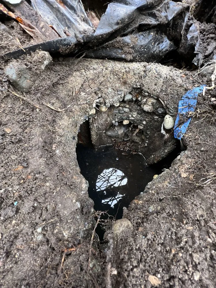 Slide of Septic Response