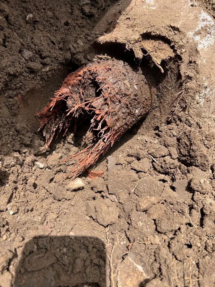 Slide of Ser Plumbing