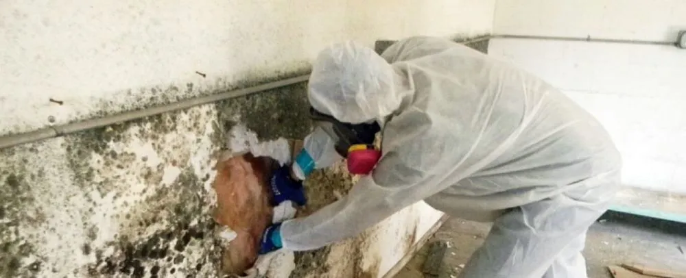 Slide of Serclean - Denver