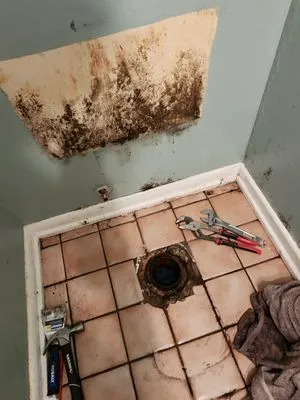 Sergei Pluming Services Logo