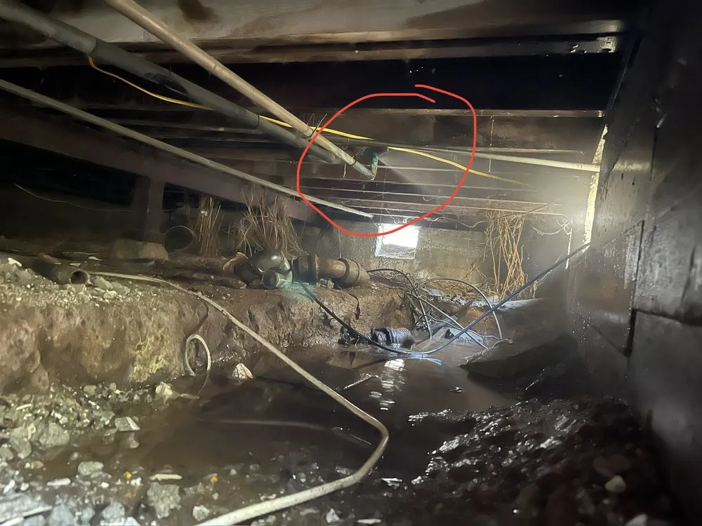 Slide of Sergio's Dedicated Plumber and Technician