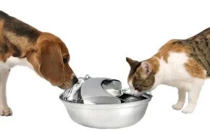 Expert water heater service service in North Las Vegas, NV - Serv-All Water Conditioning