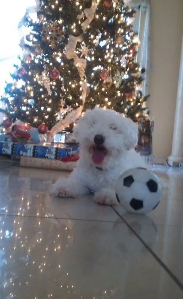 Slide of Serv Tech 360