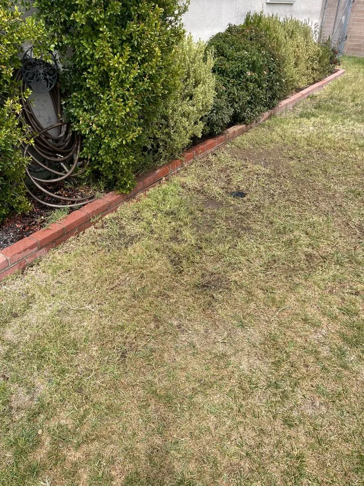 Slide of Serve Rite Plumbing & Rooter