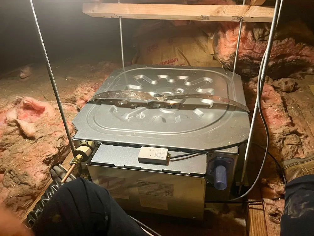 Slide of Service Champions