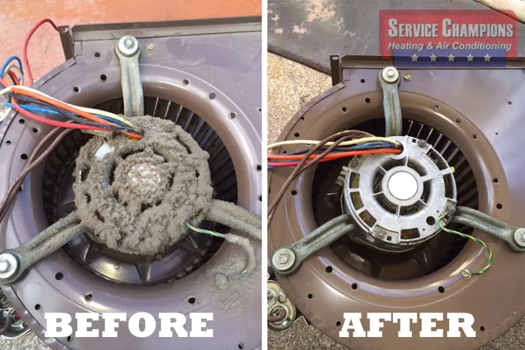 Slide of Service Champions