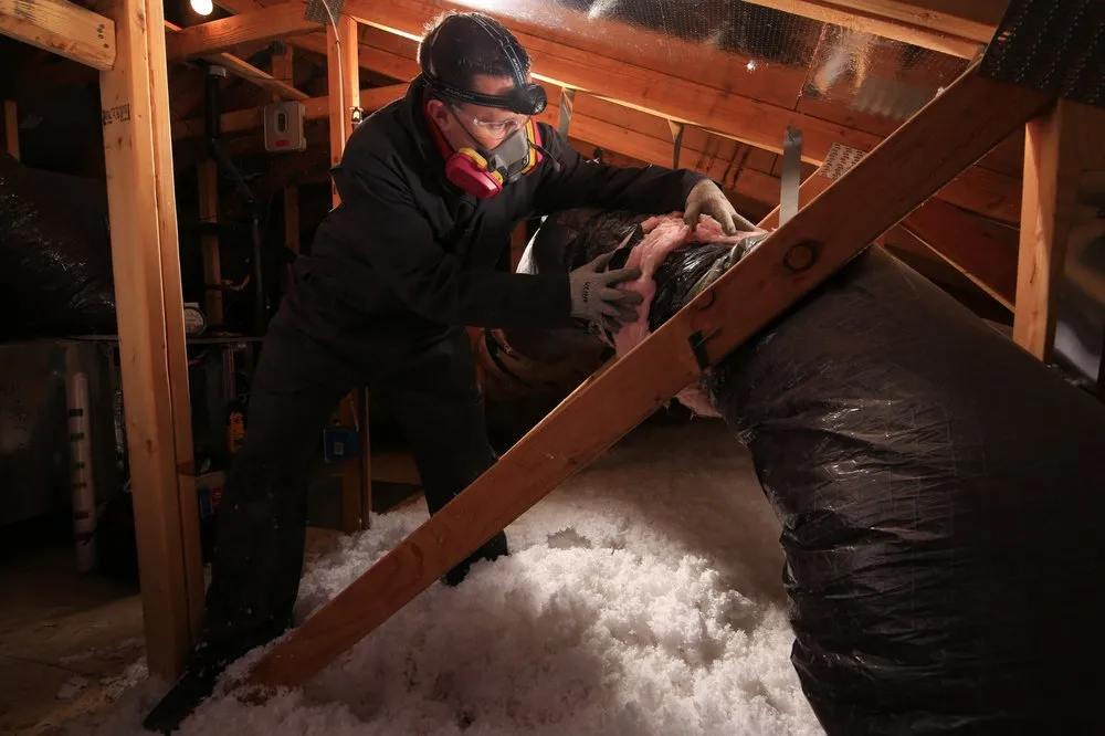 Slide of Service Champions