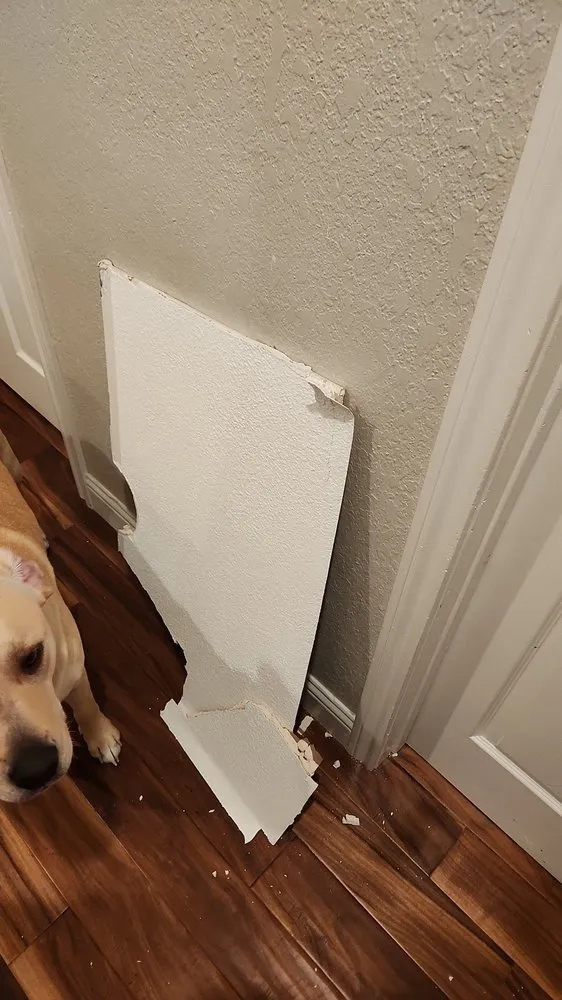 Slide of Service One