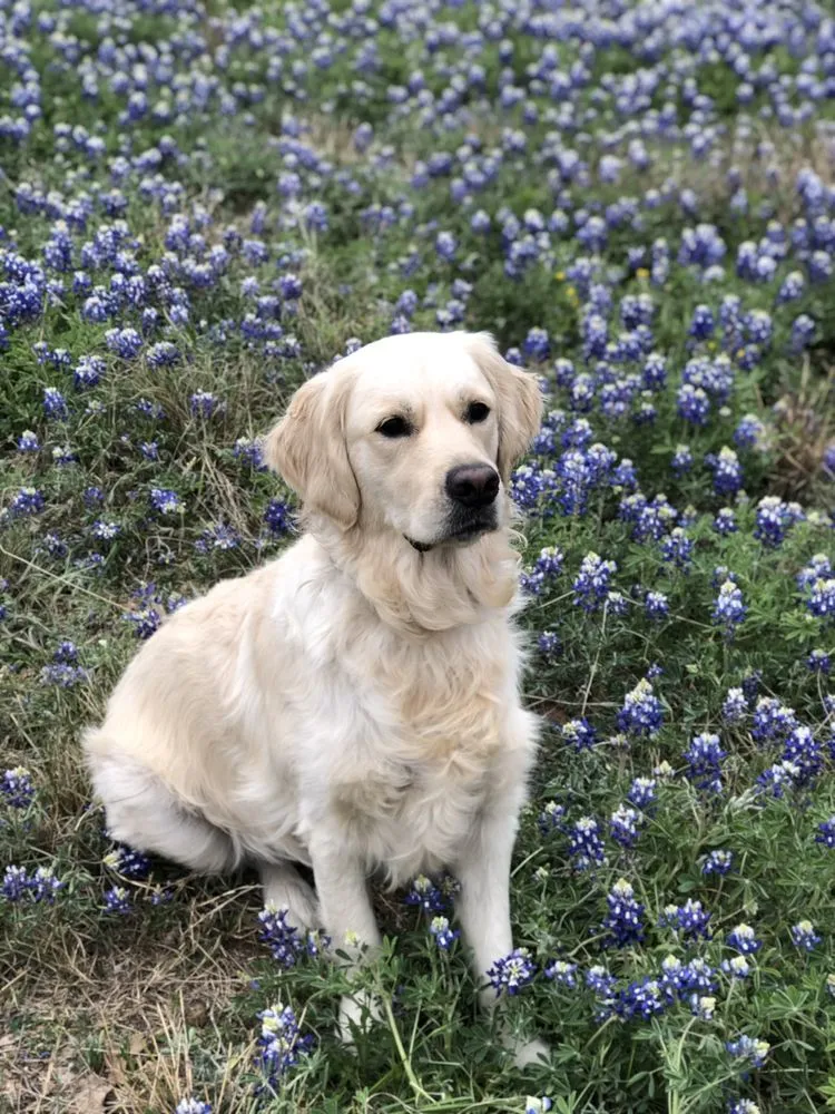 Slide of Service One