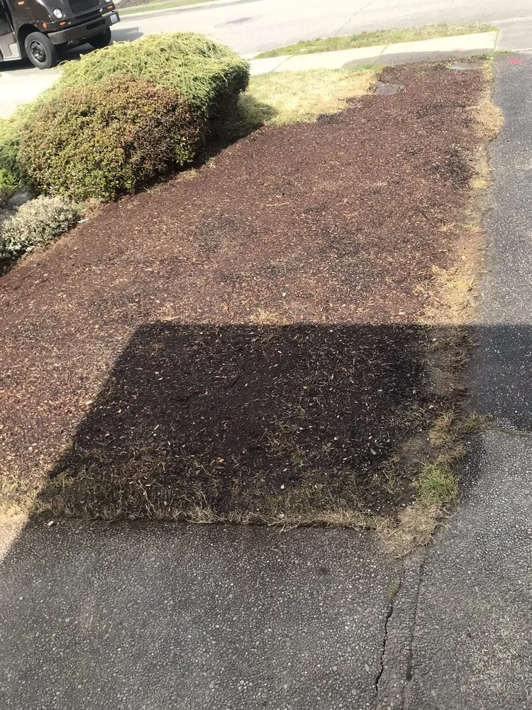 Slide of Service Plumbing & Repair