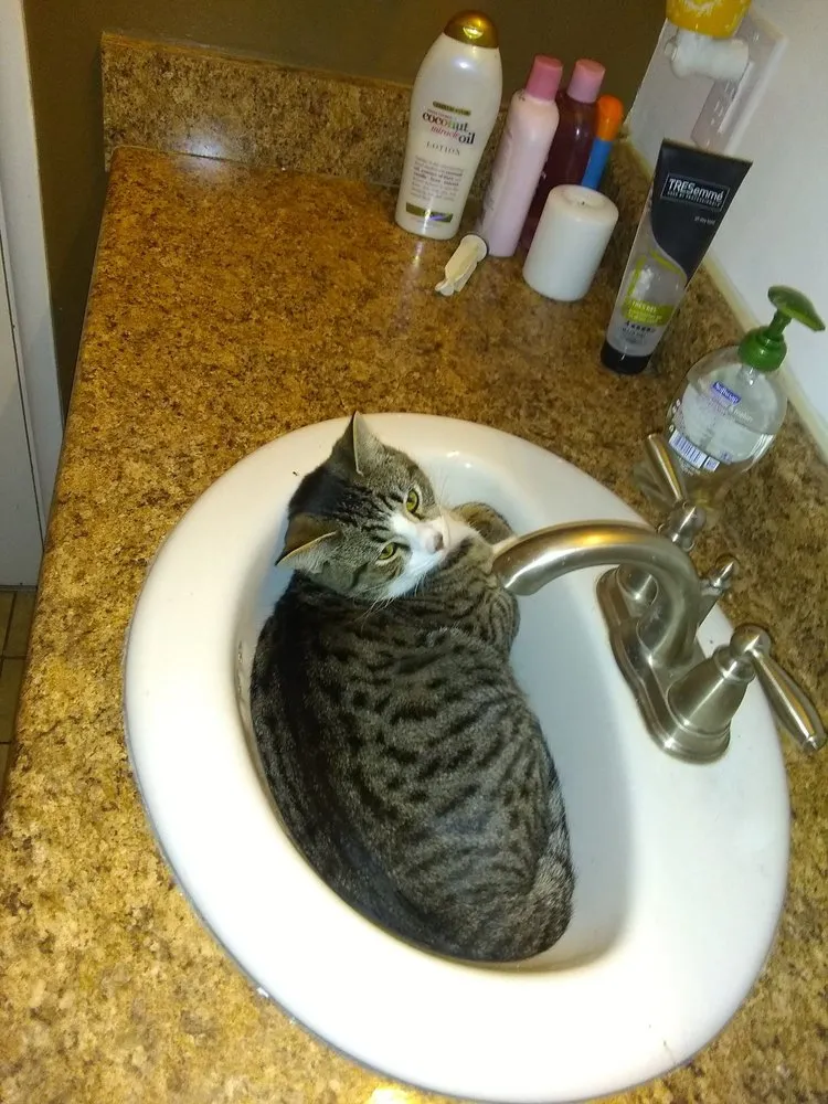 Slide of Service Plumbing & Repair