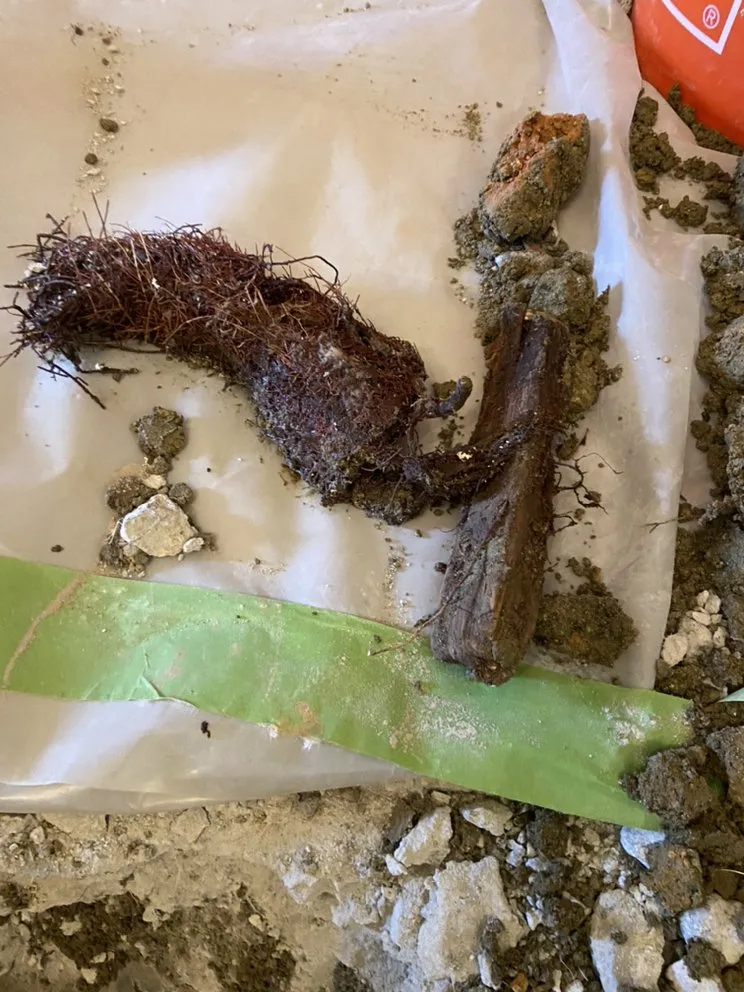 Emergency water heater service service in Concord, NC - Service Pro Plumbing