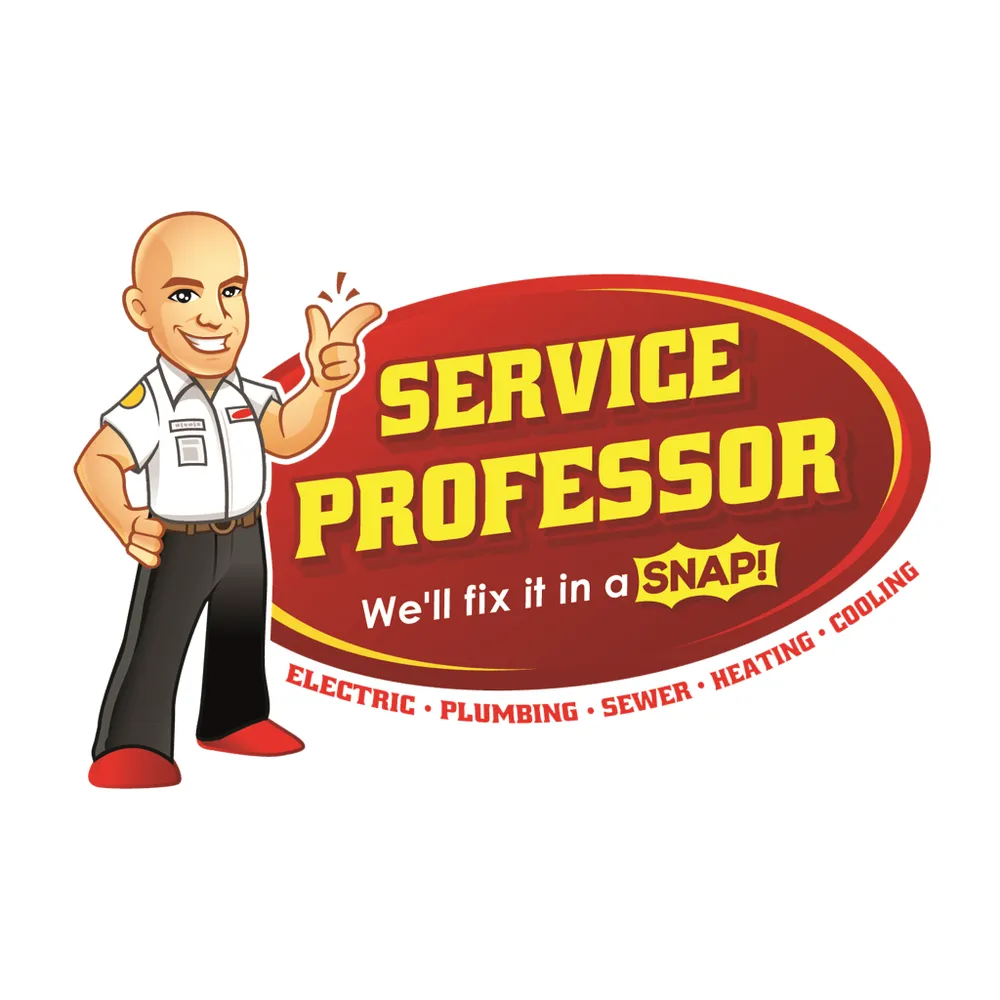 Slide of Service Professor