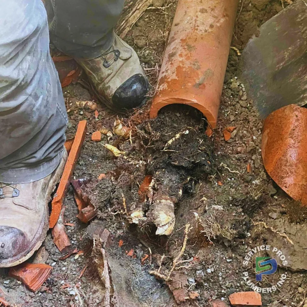 Slide of Service Pros Plumbers