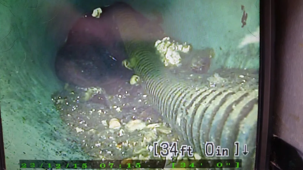 Slide of Service Proz