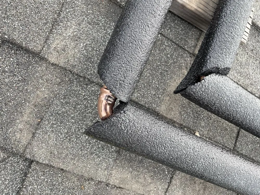 Slide of Service Squad