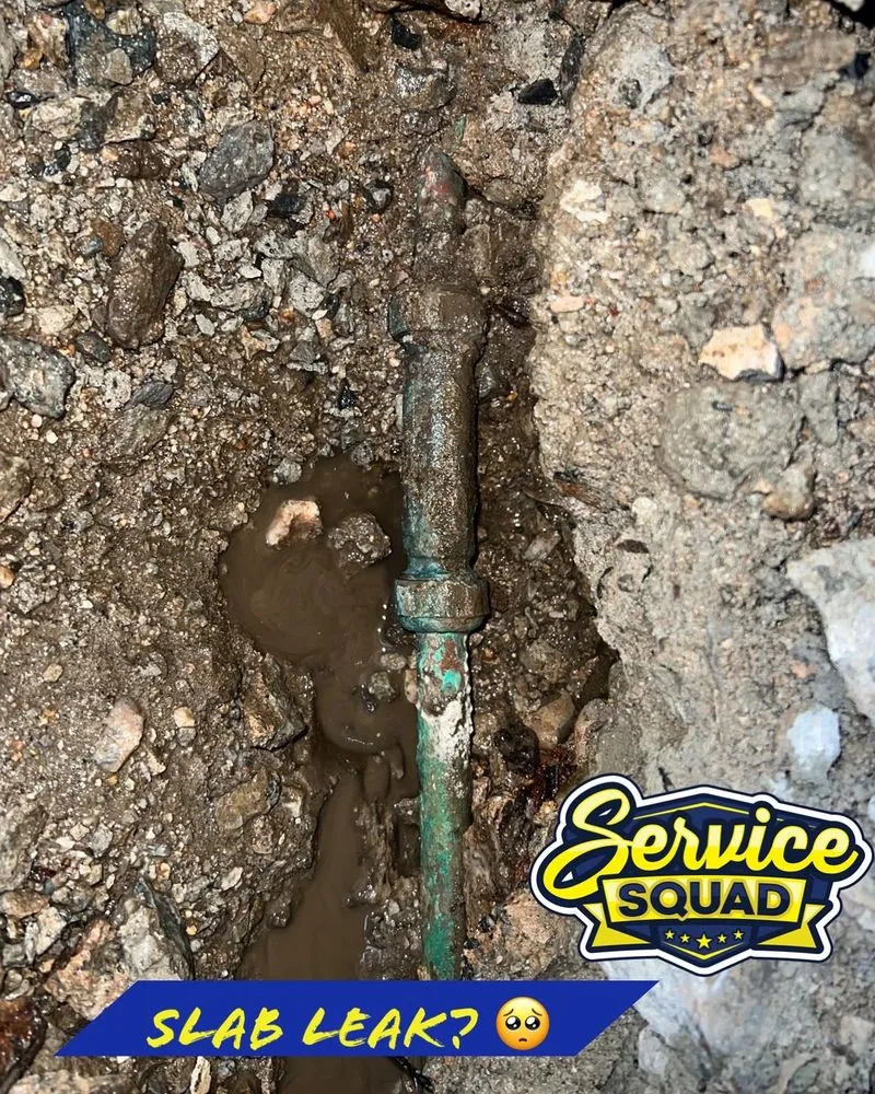 Slide of Service Squad