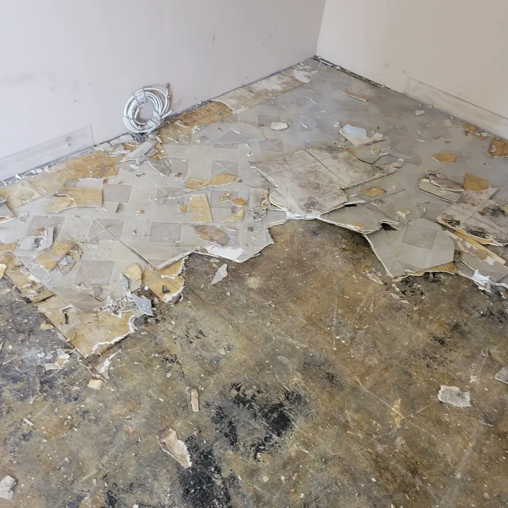 Slide of Services in action