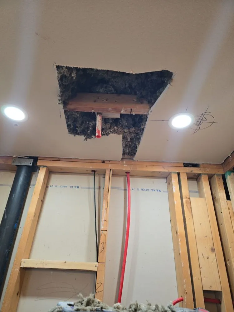 Professional drain cleaning service in Denver, CO - Services of Sewer