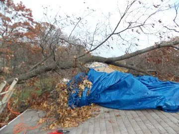 Slide of Services Squad