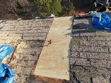 Slide of Services Squad