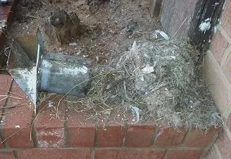 Professional pipe repair in Silver Spring, MD by Services Squad