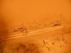 Slide of Services Squad