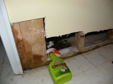 Slide of Services Squad