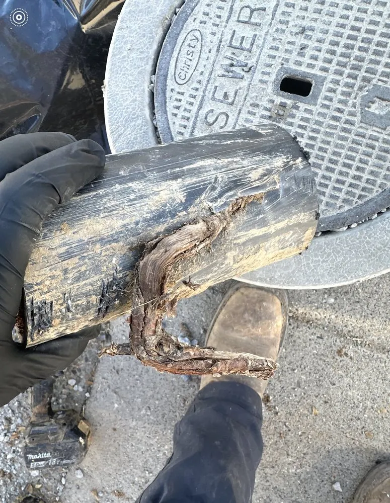 Slide of Sewer & Drain Champion