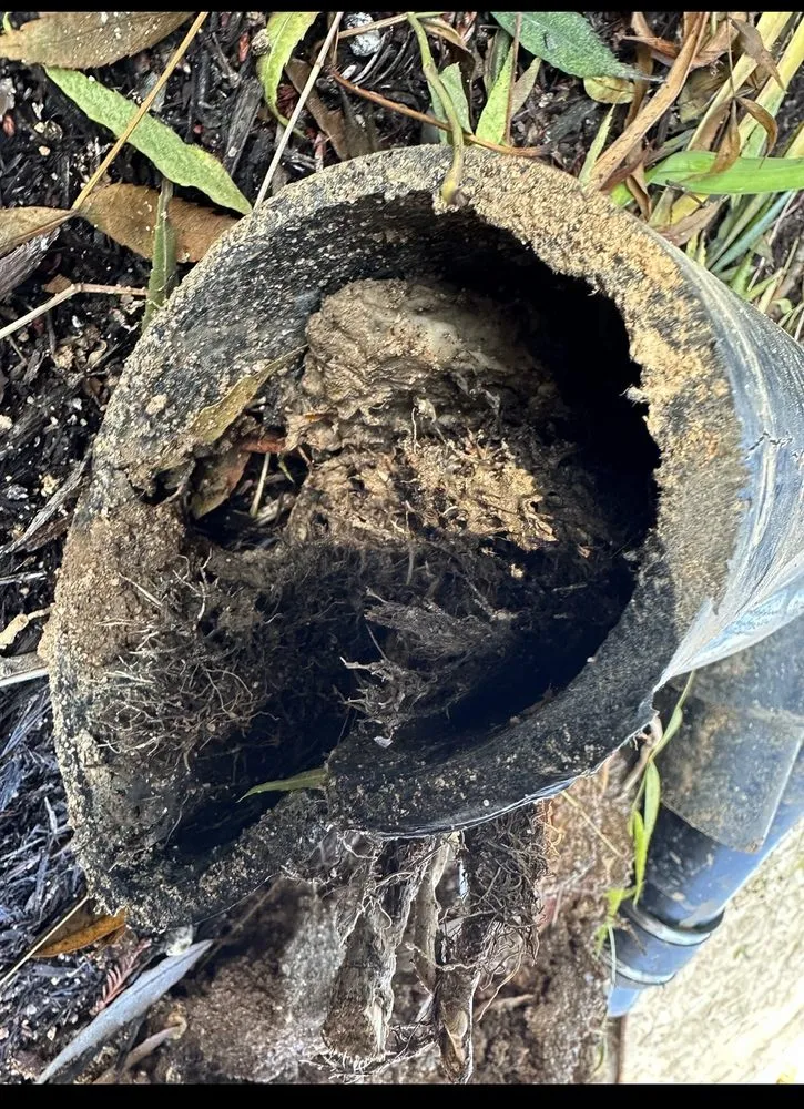 Slide of Sewer & Drain Champion