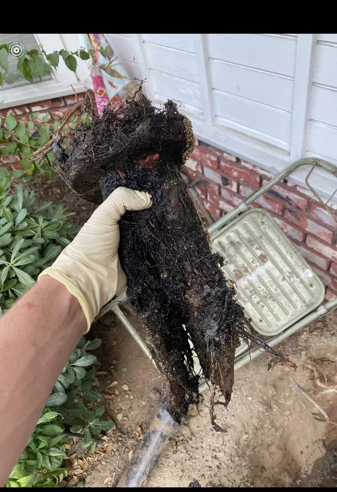 Slide of Sewer & Drain Champion