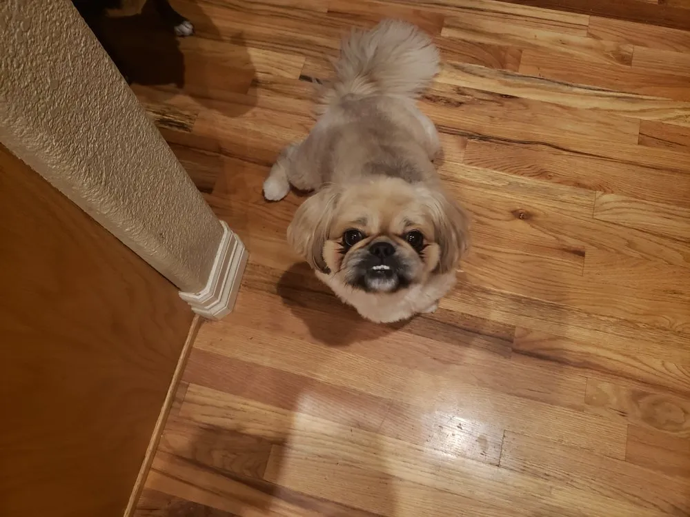 Slide of Sewer & Drain Repair Specialists