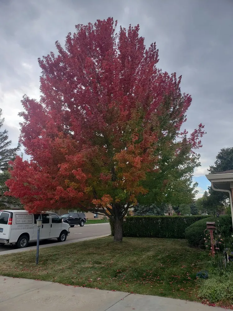 Slide of Sewer & Drain Repair Specialists