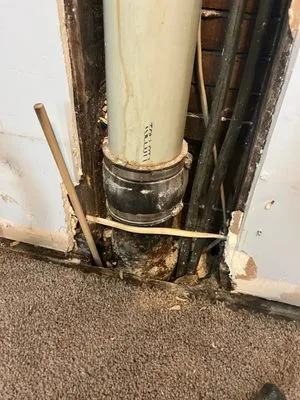 Sewer & Drain Specialists