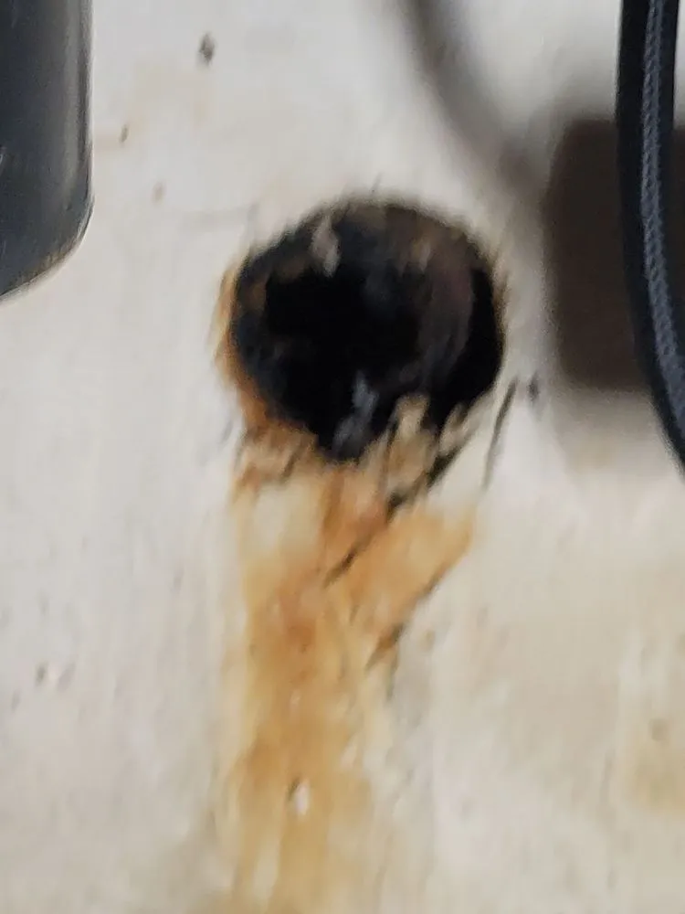 Affordable leak detection in Santa Fe Srings, CA by SEWER & PLUMBING EXPERTS