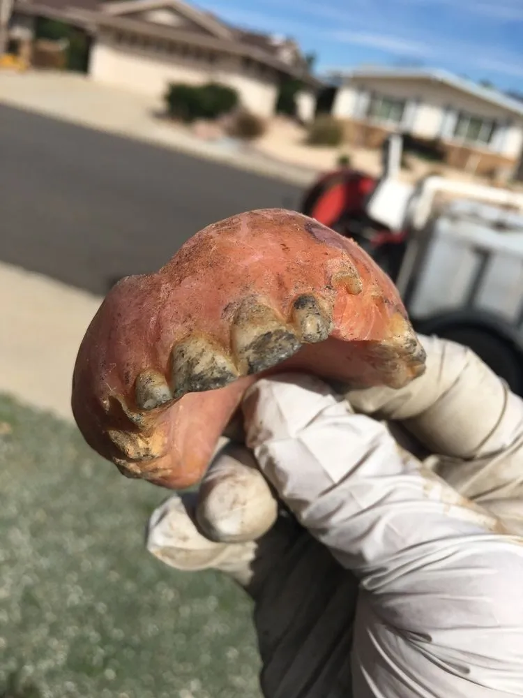 Slide of Sewer Camera Pros