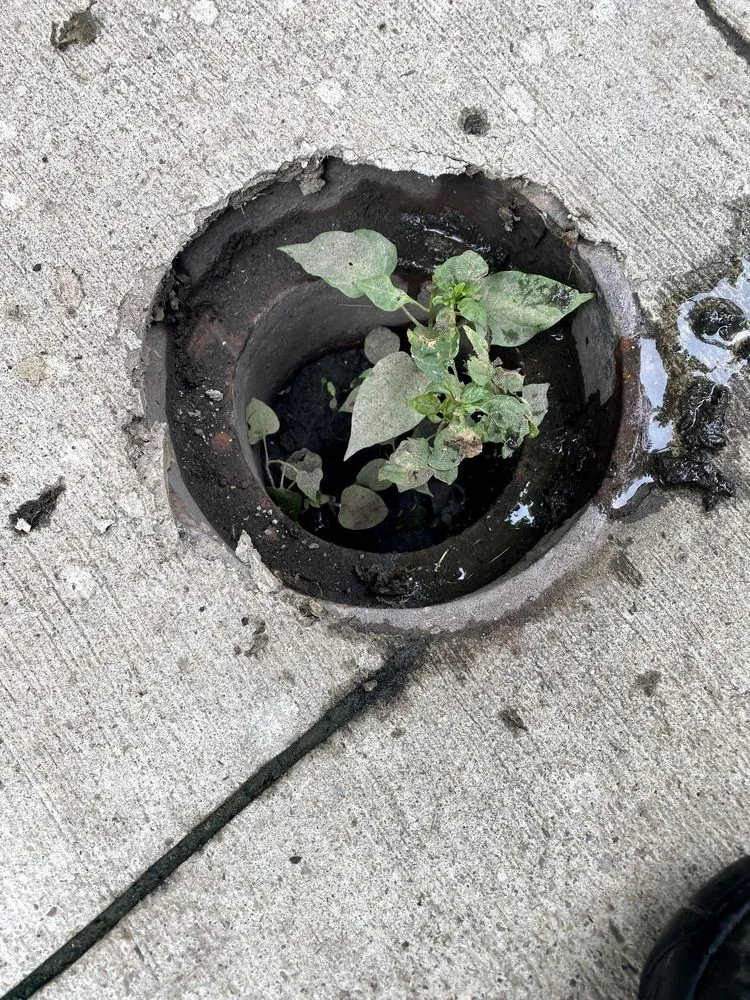 Trusted drain cleaning experts serving Chesterland, OH - Sewer Cleaning Company