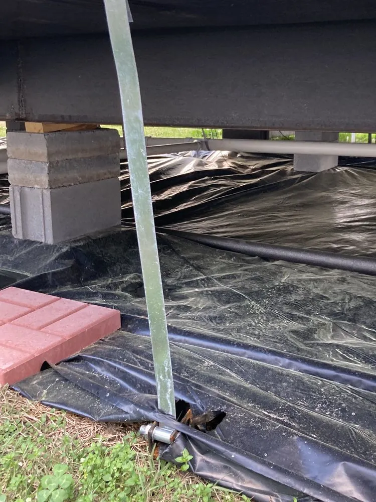 Slide of Sewer Daddy