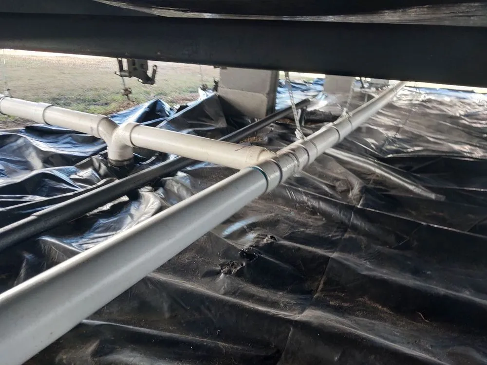 Slide of Sewer Daddy