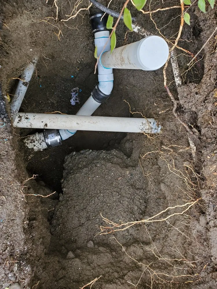 Slide of Sewer Detectives