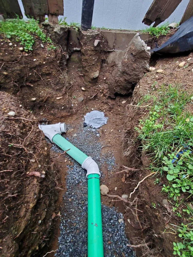 Slide of Sewer Detectives