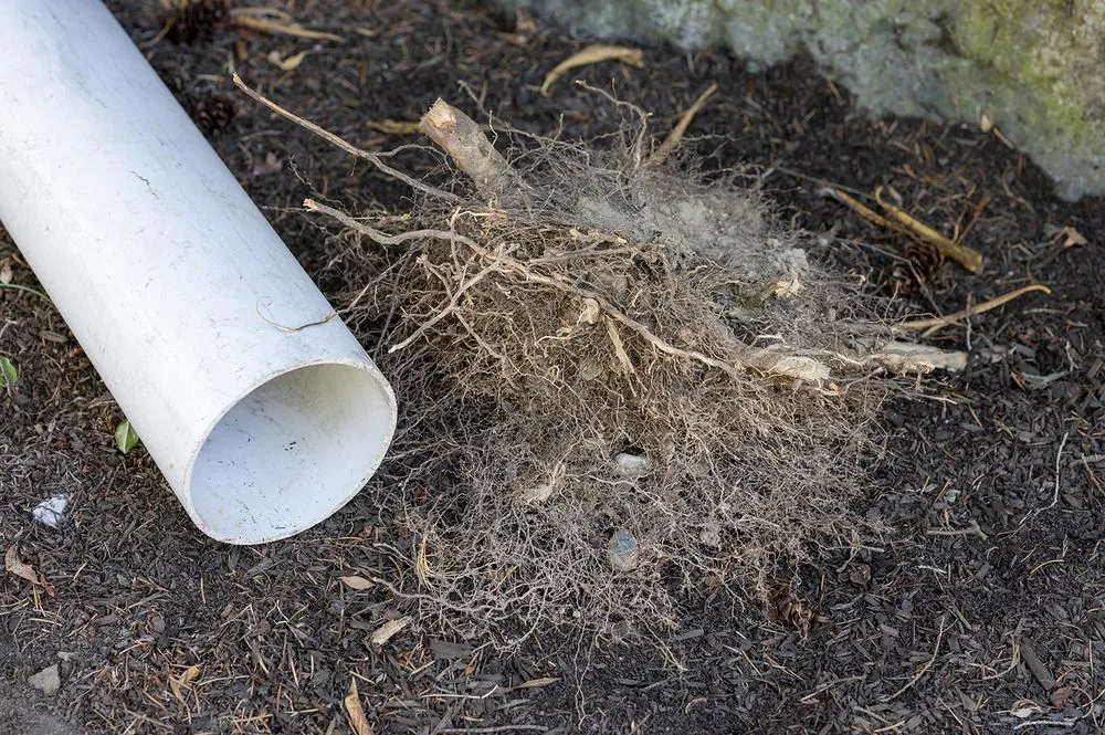 Slide of Sewer Friendly