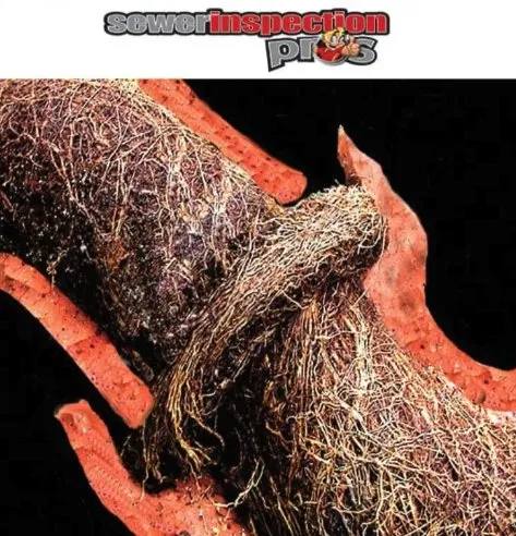 Quality water heater service experts serving Santa Clarita, CA - Sewer Inspection Pros