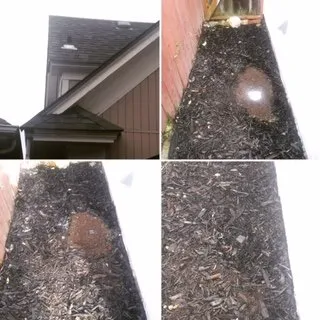 Slide of Sewer Inspector