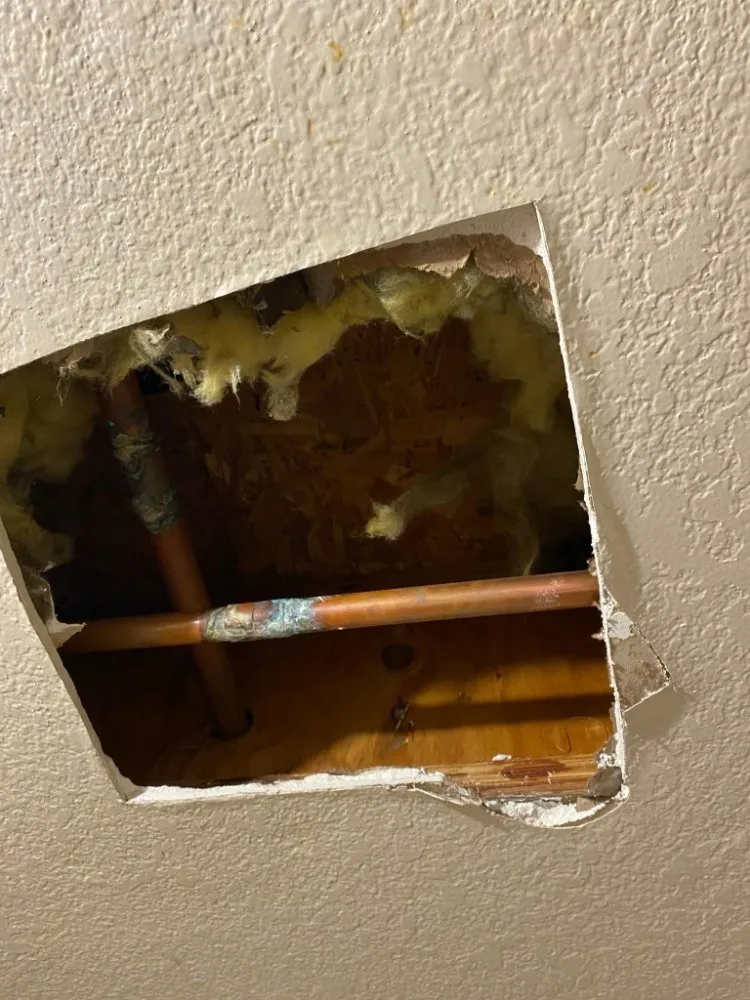 Emergency drain cleaning for homes in Santa Rosa, CA by Sewer Line Survey